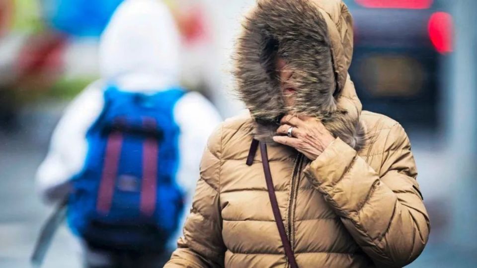 1xBit体育网站-包含北美代表队表现犹如暴风骤雨的词条